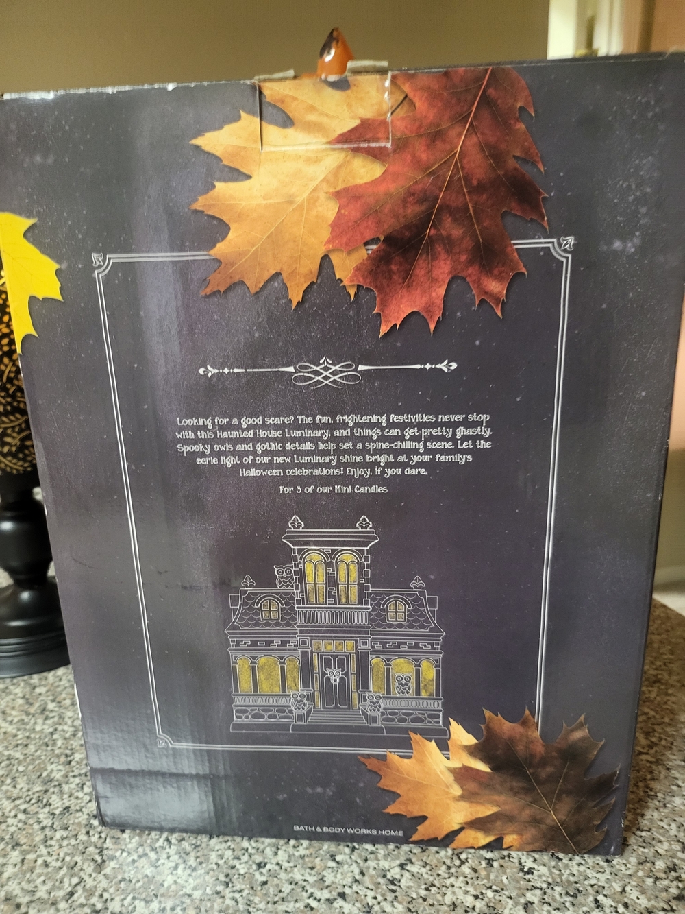 Bath & Body Works 2014 Gothic Owl Haunted House Luminary New In Box - Picture 15 of 15